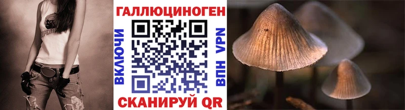 KRAKEN ССЫЛКА  наркошоп  Кингисепп  Псилоцибиновые грибы мицелий 
