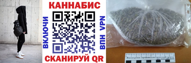 где купить наркоту  Кингисепп  OMG   Бошки марихуана SATIVA & INDICA 